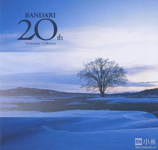 BANDARI䡶20꾫ѡְٶ