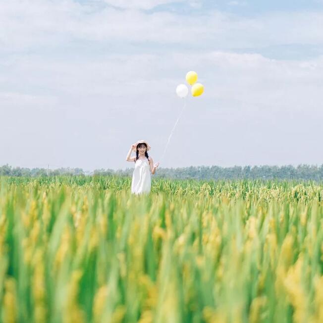 ˼���Զ��������Щ��Զȥ���µĳ���������Ʈɢ������