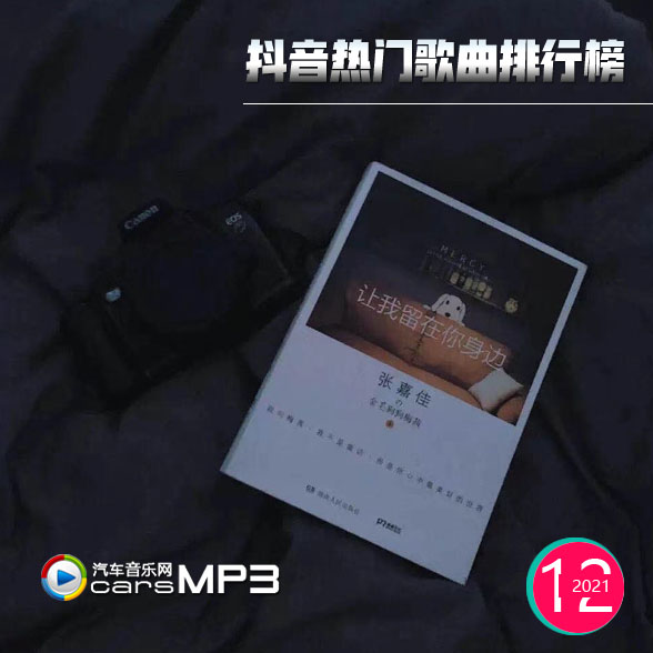 抖音热门歌曲排行榜音乐MP3 抖音音乐百度云盘打包下载【2021-12】