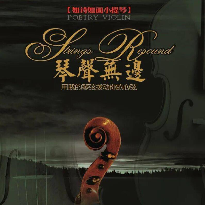 外国现代音乐和中国民族音乐的元素 陈蓉晖《如诗如画小提琴 - 琴声无边》DTS专辑下载
