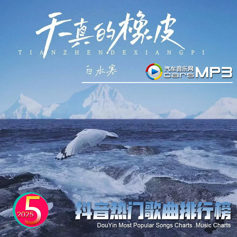 �������Ÿ����������ָ������а�BGM�����������Ÿ���������ء�2025-07��